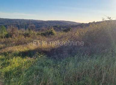 Zemljiste, Barban, Puntera, prodaja, 104000 €, 1049 m2