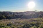 Zemljiste, Barban, Puntera, prodaja, 104000 €, 1049 m2