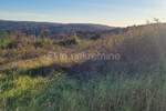 Zemljiste, Barban, Puntera, prodaja, 104000 €, 1049 m2