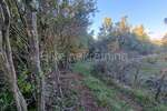 Zemljiste, Poreč, Baderna, prodaja, 102500 €, 6618 m2