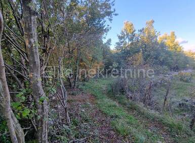 Zemljiste, Poreč, Baderna, prodaja, 102500 €, 6618 m2
