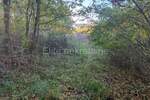 Zemljiste, Poreč, Baderna, prodaja, 102500 €, 6618 m2