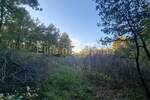 Zemljiste, Poreč, Baderna, prodaja, 102500 €, 6618 m2
