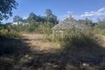 Istra, Svetvinčenat - Prodaja velikog zemljišta, 14ha, pristup, cjelina