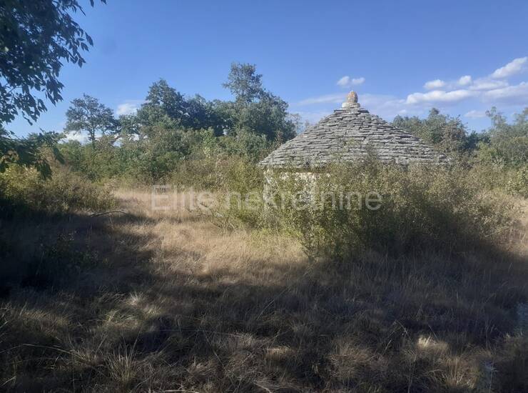 Istra, Svetvinčenat - Prodaja velikog zemljišta, 14ha, pristup, cjelina