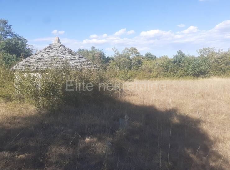 Istra, Svetvinčenat - Prodaja velikog zemljišta, 14ha, pristup, cjelina — fotografija 12