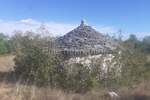 Istra, Svetvinčenat - Prodaja velikog zemljišta, 14ha, pristup, cjelina — fotografija 13