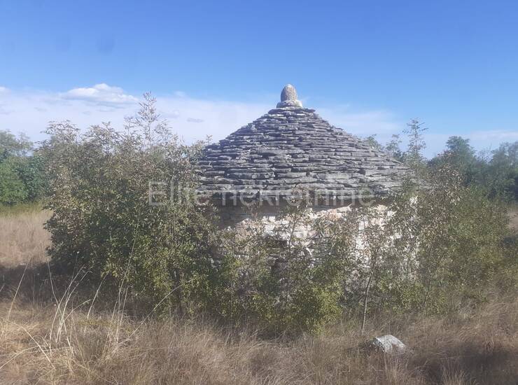 Istra, Svetvinčenat - Prodaja velikog zemljišta, 14ha, pristup, cjelina — fotografija 13