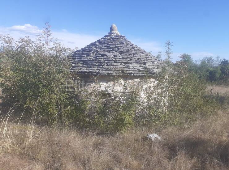 Istra, Svetvinčenat - Prodaja velikog zemljišta, 14ha, pristup, cjelina — fotografija 14