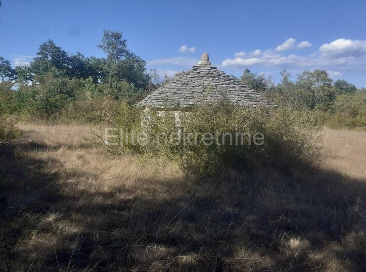 Istra, Svetvinčenat - Prodaja velikog zemljišta, 14ha, pristup, cjelina — fotografija 16