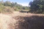 Istra, Svetvinčenat - Prodaja velikog zemljišta, 14ha, pristup, cjelina — fotografija 17