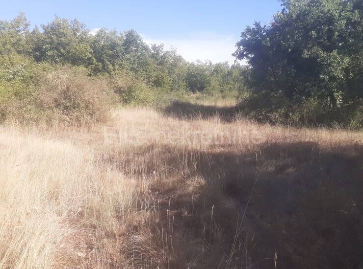 Istra, Svetvinčenat - Prodaja velikog zemljišta, 14ha, pristup, cjelina — fotografija 17