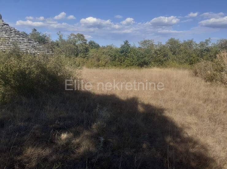 Istra, Svetvinčenat - Prodaja velikog zemljišta, 14ha, pristup, cjelina — fotografija 18