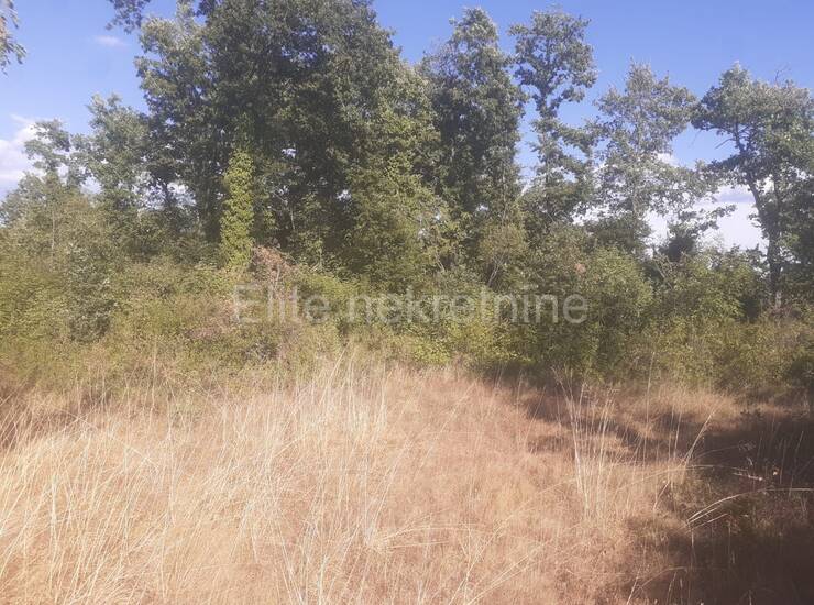 Istra, Svetvinčenat - Prodaja velikog zemljišta, 14ha, pristup, cjelina — fotografija 19