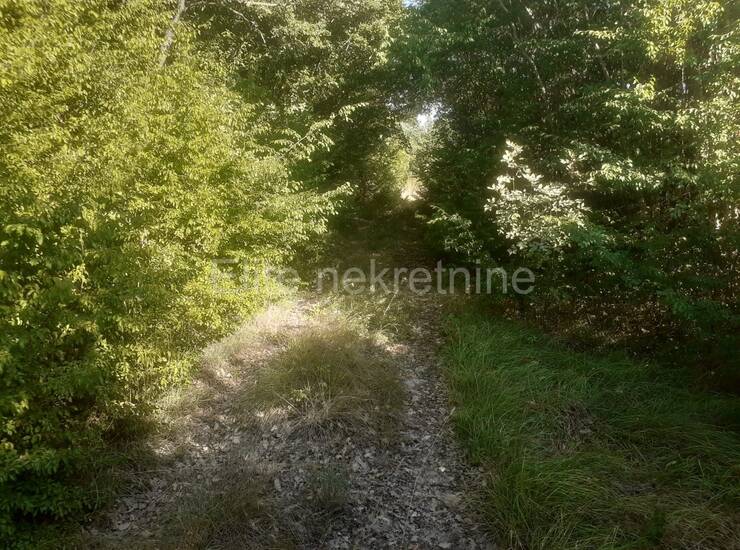 Istra, Svetvinčenat - Prodaja velikog zemljišta, 14ha, pristup, cjelina — fotografija 20