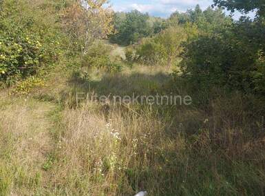 Zemljiste, Grožnjan, prodaja, 690000 €, 8338 m2