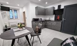 Jednosoban stan, Rijeka, Centar, najam, 600 €, 35 m2