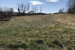 Zemljiste, Pazin, Trviž, prodaja, 250000 €, 19955 m2