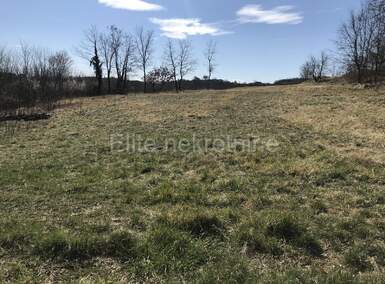 Zemljiste, Pazin, Trviž, prodaja, 250000 €, 19955 m2