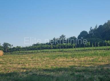 Zemljiste, Barban, Melnica, prodaja, 12000 €, 4059 m2