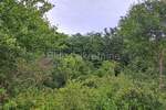 Kloštar - poljoprivredno zemljište, 4 parcele, 7.683 m2