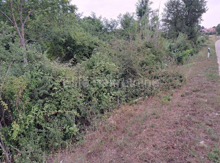 Kloštar - poljoprivredno zemljište, 4 parcele, 7.683 m2 — fotografija 11