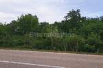 Kloštar - poljoprivredno zemljište, 4 parcele, 7.683 m2 — fotografija 14