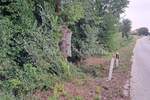 Kloštar - poljoprivredno zemljište, 4 parcele, 7.683 m2 — fotografija 16