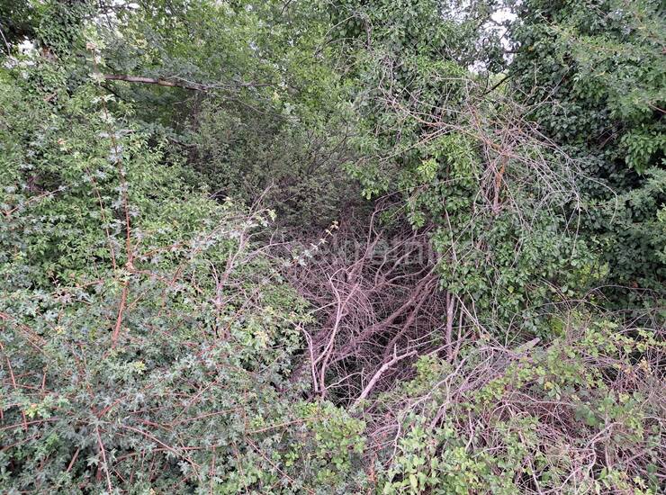 Kloštar - poljoprivredno zemljište, 4 parcele, 7.683 m2 — fotografija 18