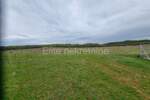 Buje - prodaja vrhunskog terena, 120.000m2!