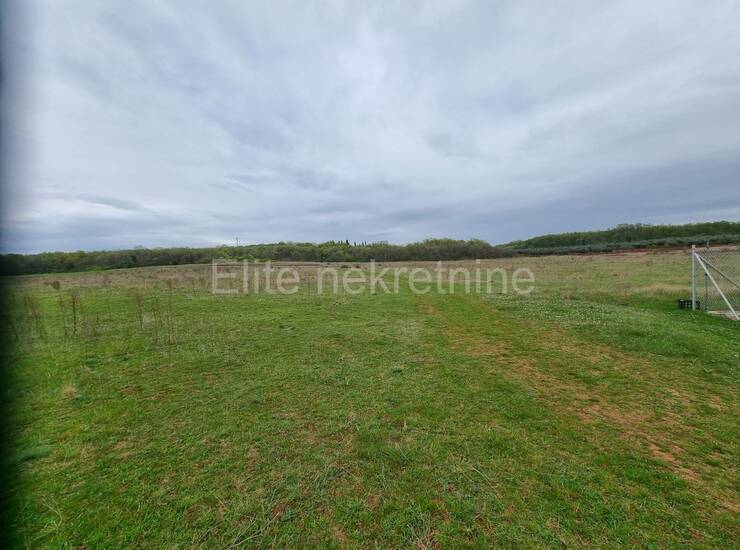 Buje - prodaja vrhunskog terena, 120.000m2!