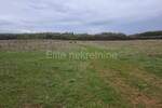 Buje - prodaja vrhunskog terena, 120.000m2!
