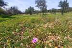 Zemljiste, Rovinj, prodaja, 305000 €, 19568 m2