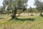Zemljiste, Rovinj, prodaja, 305000 €, 19568 m2