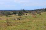 Zemljiste, Rovinj, prodaja, 305000 €, 19568 m2