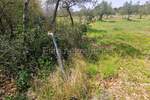 Zemljiste, Rovinj, prodaja, 305000 €, 19568 m2