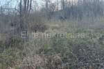 Zemljiste, Matulji, Zvoneća, prodaja, 115000 €, 4633 m2