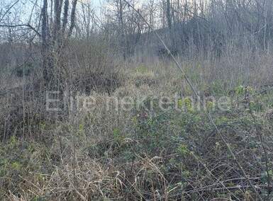 Zemljiste, Matulji, Zvoneća, prodaja, 115000 €, 4633 m2