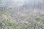 Zemljiste, Matulji, Zvoneća, prodaja, 115000 €, 4633 m2