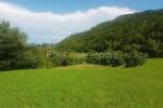 Kršikla - poljoprivredno zemljište 45 398 m2