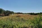 Zemljiste, Vodnjan, prodaja, 67000 €, 1435 m2