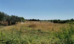 Zemljiste, Vodnjan, prodaja, 67000 €, 1435 m2