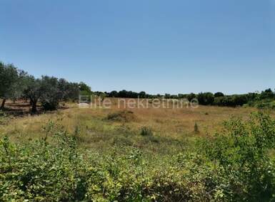 Zemljiste, Vodnjan, prodaja, 67000 €, 1435 m2