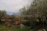 Zemljiste, Rovinj, prodaja, 620000 €, 3096 m2