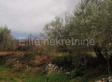 Zemljiste, Rovinj, prodaja, 620000 €, 3096 m2