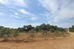 Zemljiste, Rovinj, prodaja, 250000 €, 25000 m2