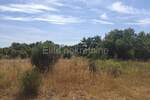 Zemljiste, Rovinj, prodaja, 250000 €, 25000 m2