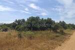 Zemljiste, Rovinj, prodaja, 250000 €, 25000 m2
