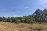 Zemljiste, Rovinj, prodaja, 250000 €, 25000 m2