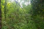 Zemljiste, Matulji, Veli Brgud, prodaja, 93000 €, 1700 m2